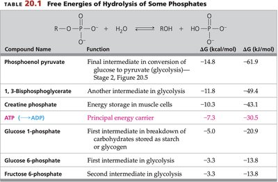 Table of free energies of hydrolysis