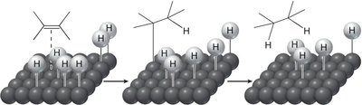 Mechanism of catalytic hydrogenation on a metal surface