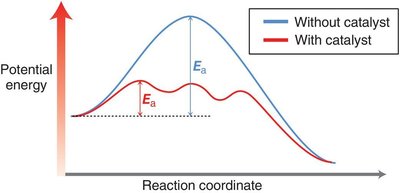 Energy diagram showing lower activation energy with catalyst