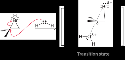 Mechanism and transition state for halohydrin formation