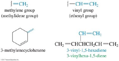 Alkene substituents: methylene and vinyl groups