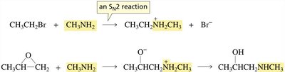 Amines as nucleophiles in SN2 reactions