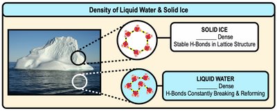 Density of liquid water and solid ice