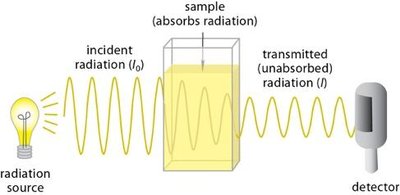 Absorption spectrometry setup