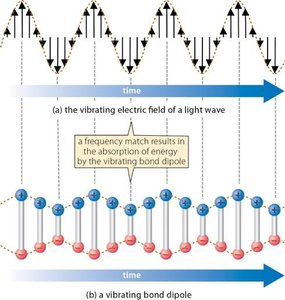 Bond dipole and light wave interaction