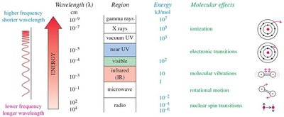 Electromagnetic spectrum and molecular effects