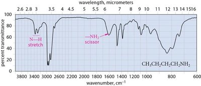 IR spectrum of butylamine