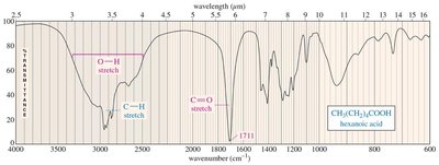 IR spectrum of hexanoic acid