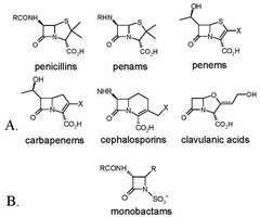 Structures of β-lactam antibiotics