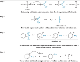 Nitration mechanism