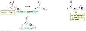 Moving lone-pair electrons to an sp2 carbon
