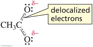 Delocalized electrons in acetate ion