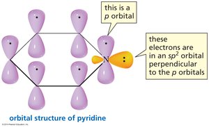 Orbital structure of pyridine