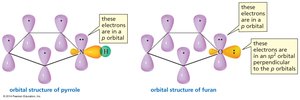 Orbital structure of pyrrole and furan