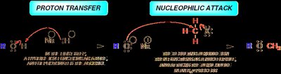 Proton transfer and nucleophilic attack in ether synthesis