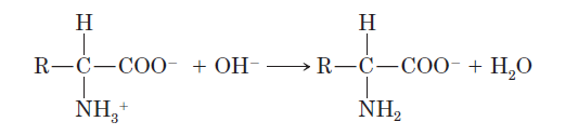 Deprotonation of amino acid in basic environment
