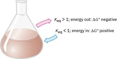 Flask showing relationship between Keq and ΔG°