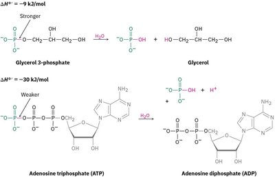 Bond dissociation energy comparison