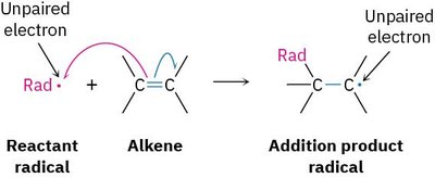 Radical addition to alkene mechanism