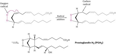 Radical reaction in prostaglandin synthesis