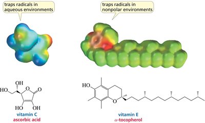 Vitamin C and E as radical traps