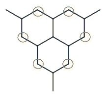 Fused ring system with secondary carbons circled