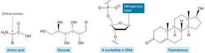 Examples of chiral centers in biomolecules