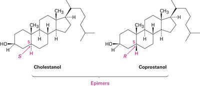 Epimers example