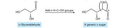 D/L system for sugars and amino acids