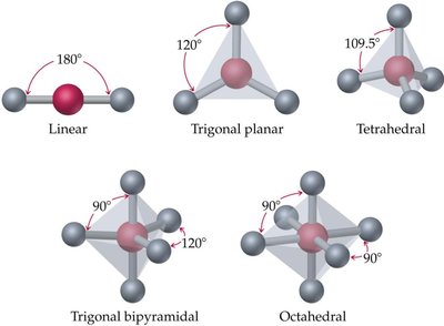 Molecular dipole moments