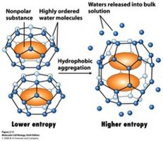 Hydrophobic effect diagram