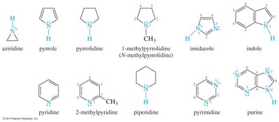 Heterocyclic amines: examples and nomenclature