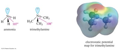 Bond angles and electrostatic potential in amines