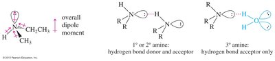 Hydrogen bonding in amines