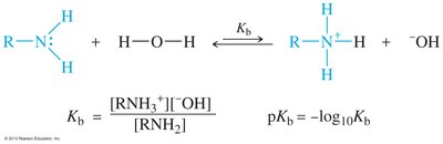 Base-dissociation equilibrium and formula for amines