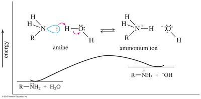 Energy diagram for base dissociation of amines