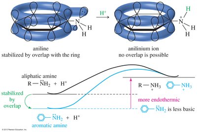 Resonance effects in aromatic amines