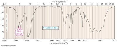 IR spectrum of a primary amine