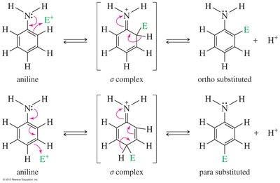 Ortho and para substitution of aniline