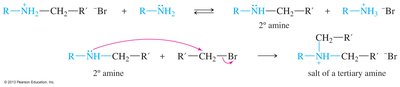 Alkylation of amines: SN2 mechanism