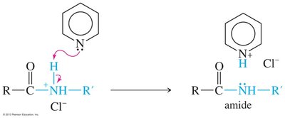 Mechanism of acyl substitution