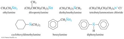 Common names of amines