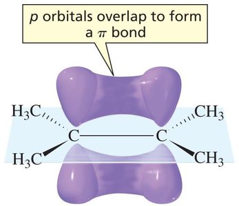 p orbitals overlap to form a π bond in alkenes