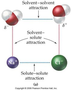 Attractive forces in solution: solvent-solvent, solute-solute, and solvent-solute