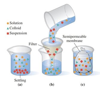 Osmosis through a semipermeable membrane