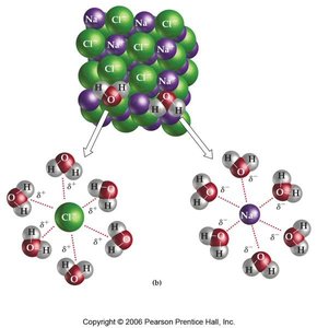 Ionic solid dissolving in water, showing hydration of ions