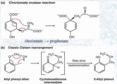 Claisen rearrangement and chorismate mutase reaction mechanism