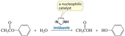 Imidazole as a nucleophilic catalyst