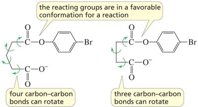 Five-membered ring formation