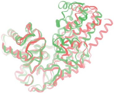 Conformational change in enzyme